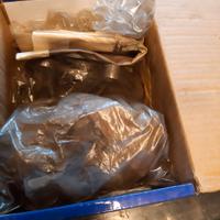 Pinze anteriori  Defender 