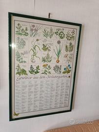 Poster erbe e spezie 1985 Germania