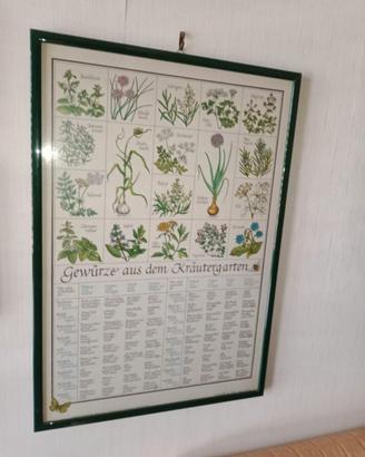 Poster erbe e spezie 1985 Germania