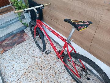 Bici rockrider di 30 anni fa