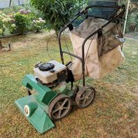 Aspirafoglie professionale