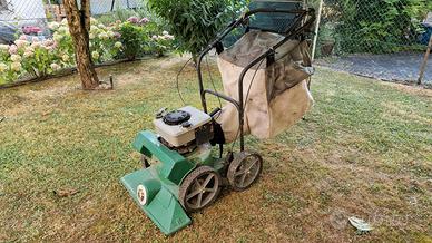 Aspirafoglie professionale