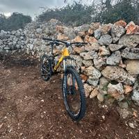 BMC TRAILFOX 02