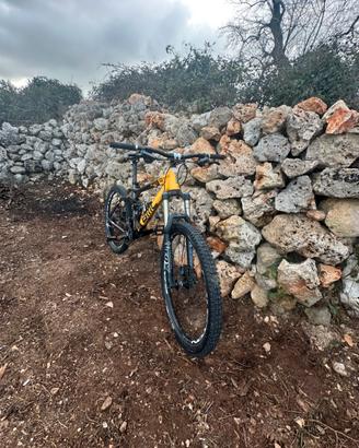 BMC TRAILFOX 02