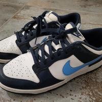 Nike Dunk Low 45