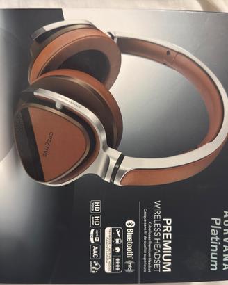 Cuffie Aurvana Platinum