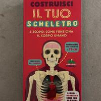 GIOCO per bambini Costruisci il tuo scheletro