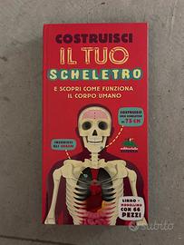 GIOCO per bambini Costruisci il tuo scheletro
