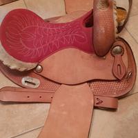 Sella americana natowa