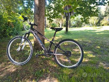 bicicletta bambino