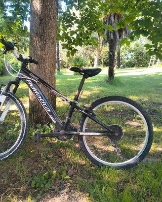 bicicletta bambino