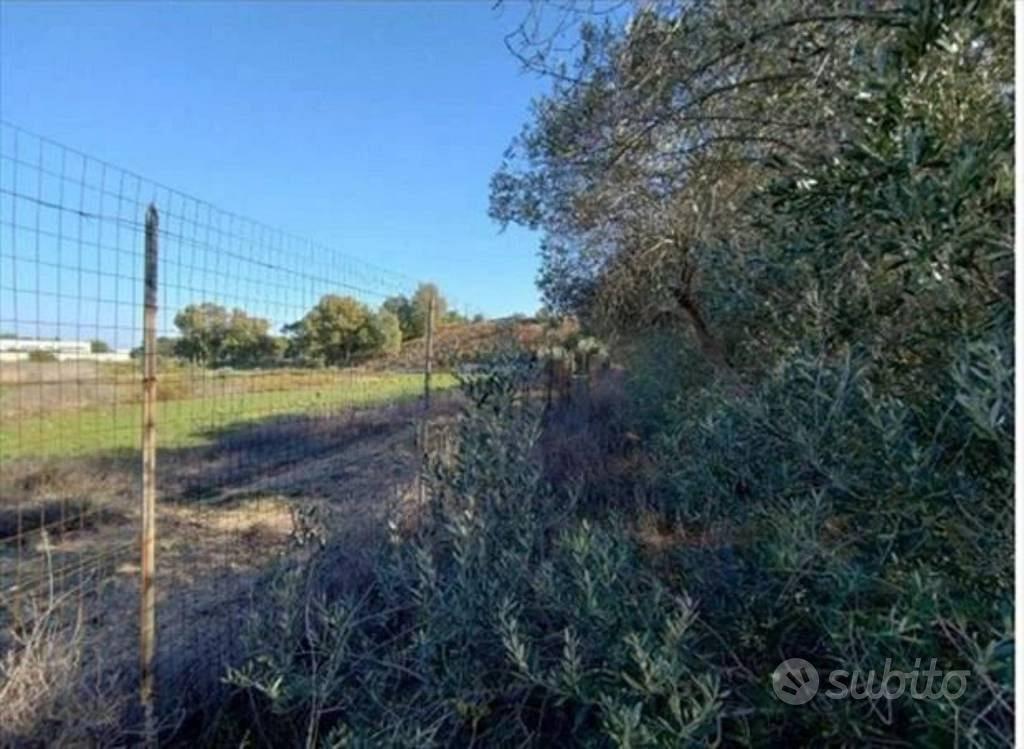 Immobile in asta di 22562 m² a Cavallino - Vista 3