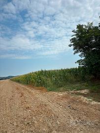 Terreno agricolo