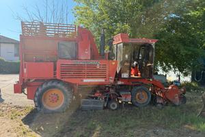 Cavabietole Pietro Barigelli