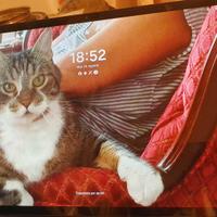 Samsung tab S7 plus wi-fi,SM-T970