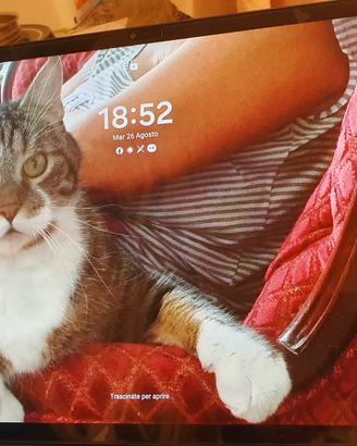 Samsung tab S7 plus wi-fi,SM-T970