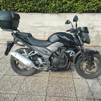 Sym SB 250 NI - Wolf