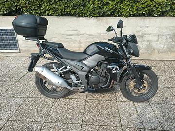 Sym SB 250 NI - Wolf