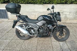 Sym SB 250 NI - Wolf