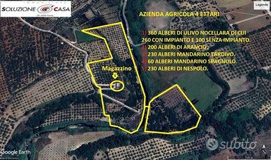 Castelvetrano azienda agricola di 4 ettari circa