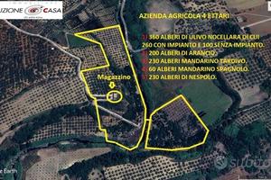 Castelvetrano azienda agricola di 4 ettari circa