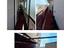 Immagine 7