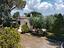 Immagine 14
