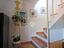 Immagine 12
