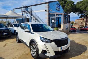 Peugeot 2008 1.5 BlueHDi 100 cv S&S Active