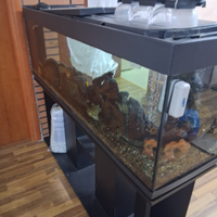 Aquarium