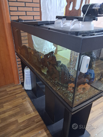 Aquarium