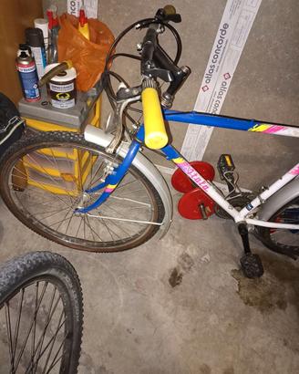 Bici atala 24