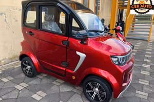 DELTA1 minicar cabinata anziani/disabili microcar