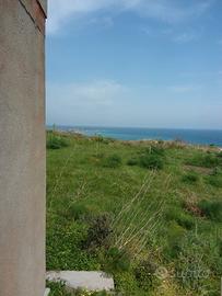 Terreno uliveto e casa