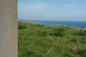 Terreno uliveto e casa