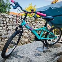 bici mtb ragazza 20