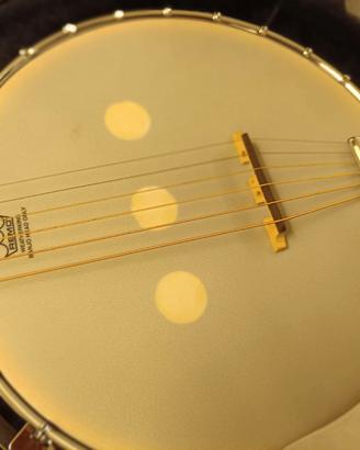 Banjo 6 corde