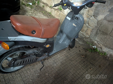 Free 50 cc