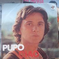 Lotto 118 dischi in vinile 33 giri Lp Celentano...