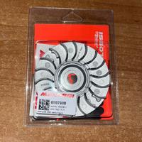 Semipuleggia malossi