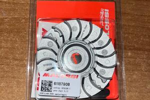 Semipuleggia malossi