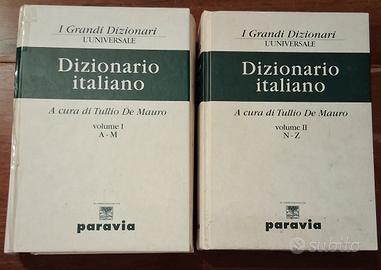 Dizionario Italiano De Mauro Paravia 2 Volumi