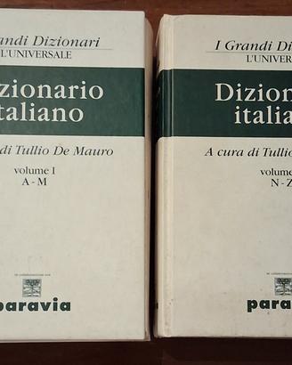 Dizionario Italiano De Mauro Paravia 2 Volumi