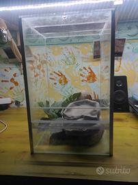 Terrario sviluppato in altezza.