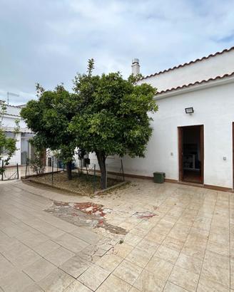 Campidanese ristrutturata con giardino