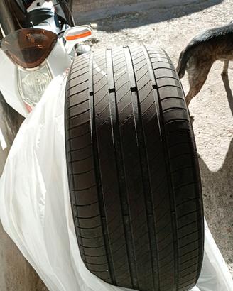 Pneumatici Michelin 225/50 r17