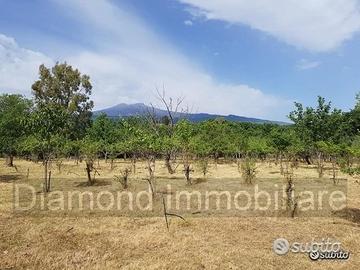 Terreno agricolo pianeggiante a Piedimonte Etneo