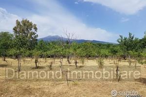 Terreno agricolo pianeggiante a Piedimonte Etneo