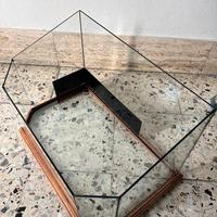 Acquario per tartarughe