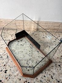 Acquario per tartarughe